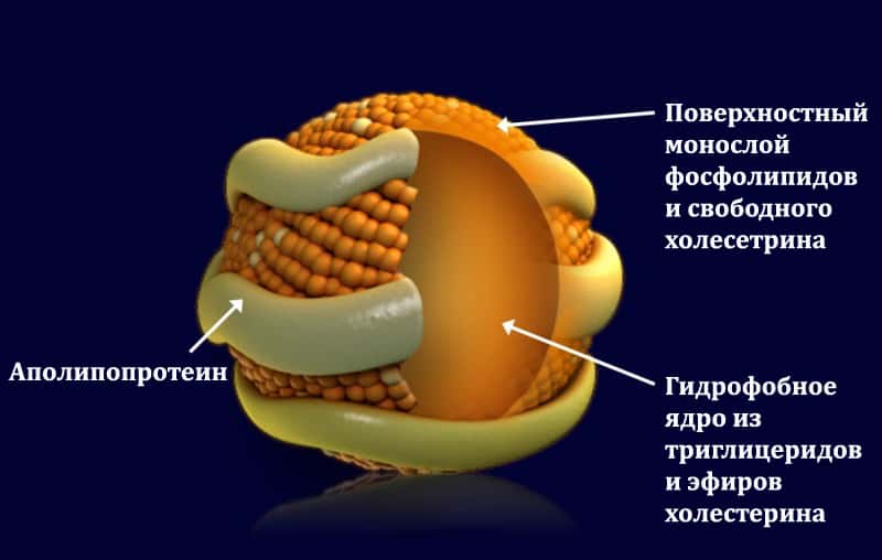 Описание изображения